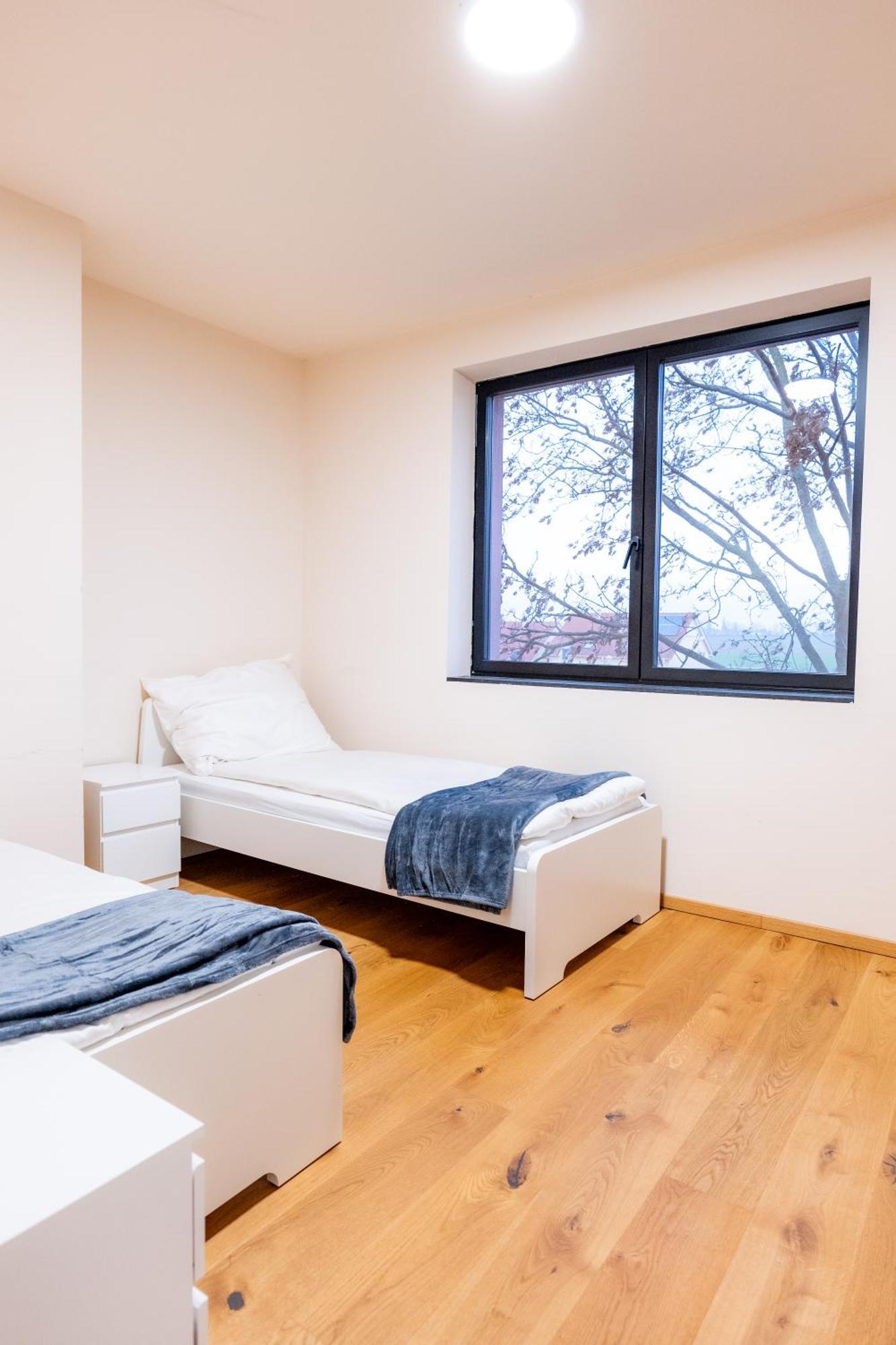 Villa Rose Close To Vienna & Airport Maria Ellend Exterior foto